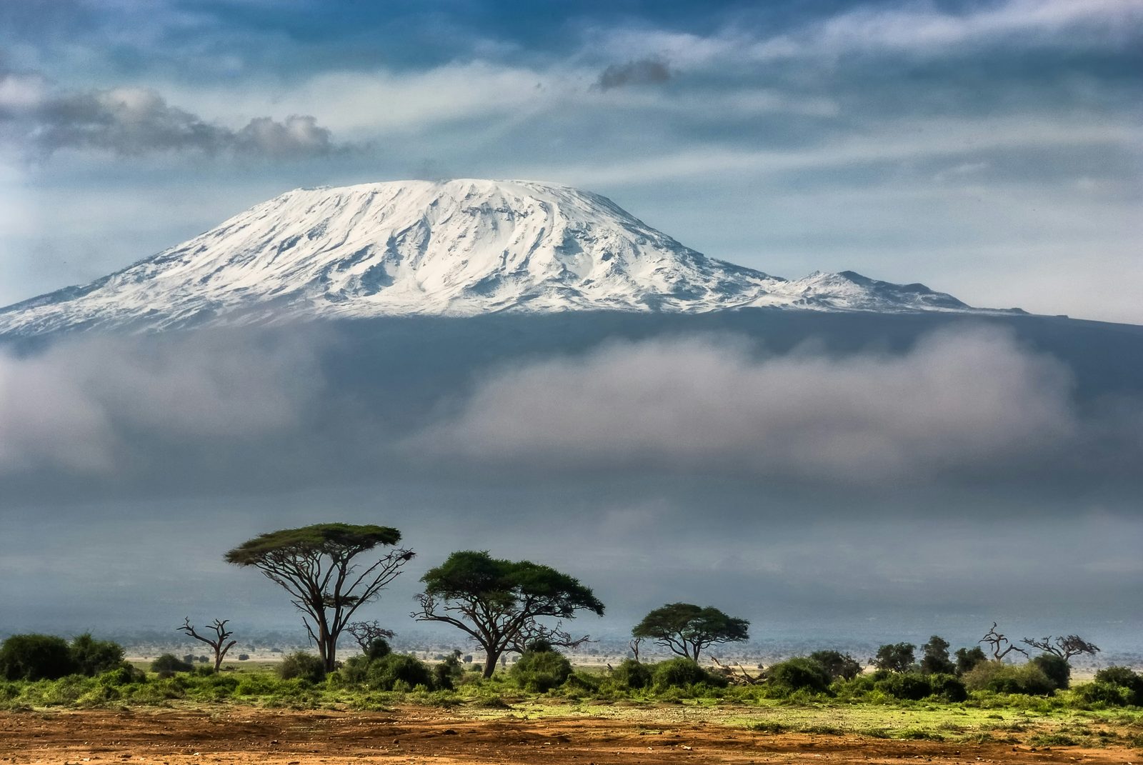 Mount Kilimanjaro above acacia trees on the Amboseli plains