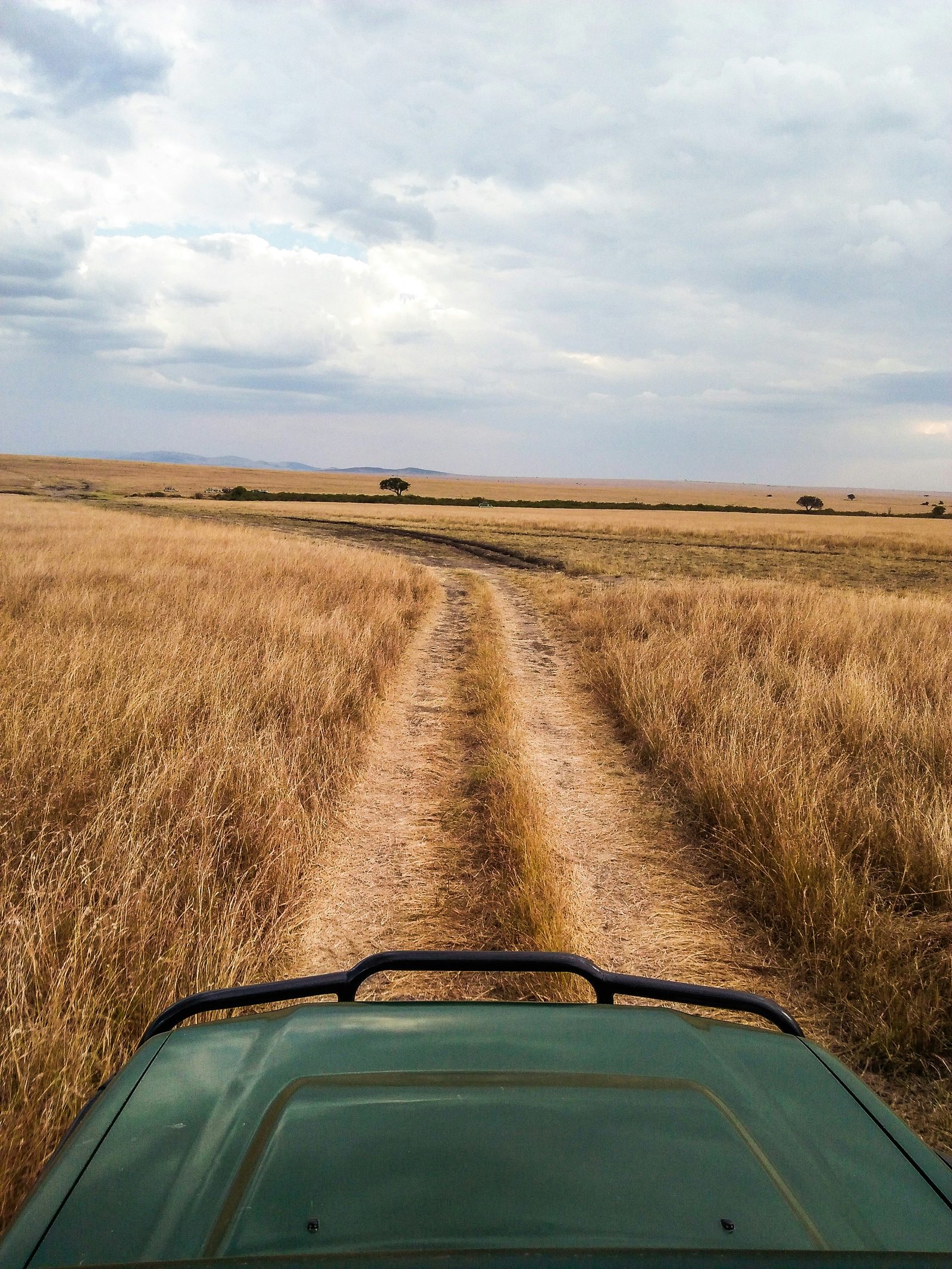 View from a safari vehicle along a dirt track through open savannah