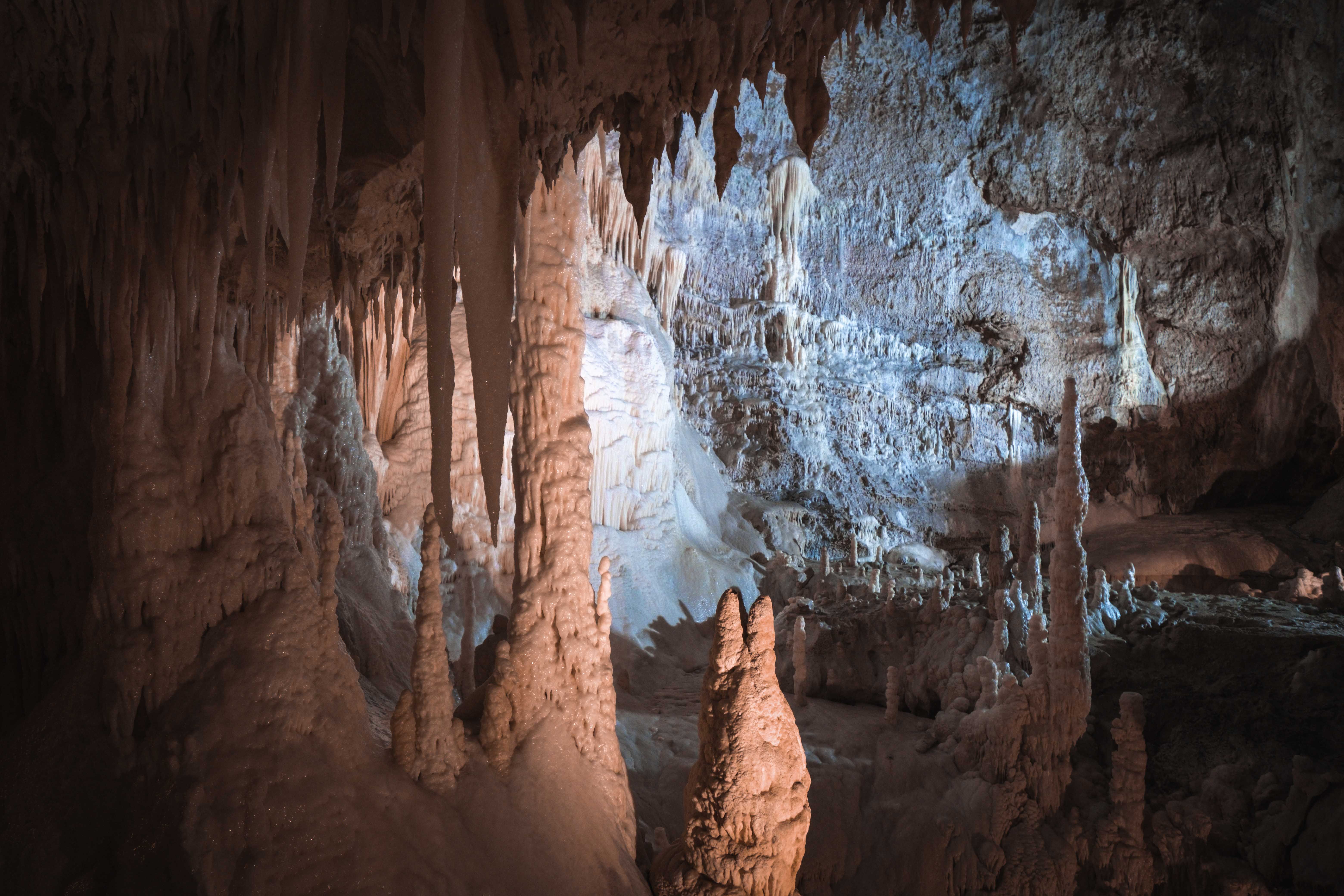 Waitomo Glowworm Caves on the road to Rotorua