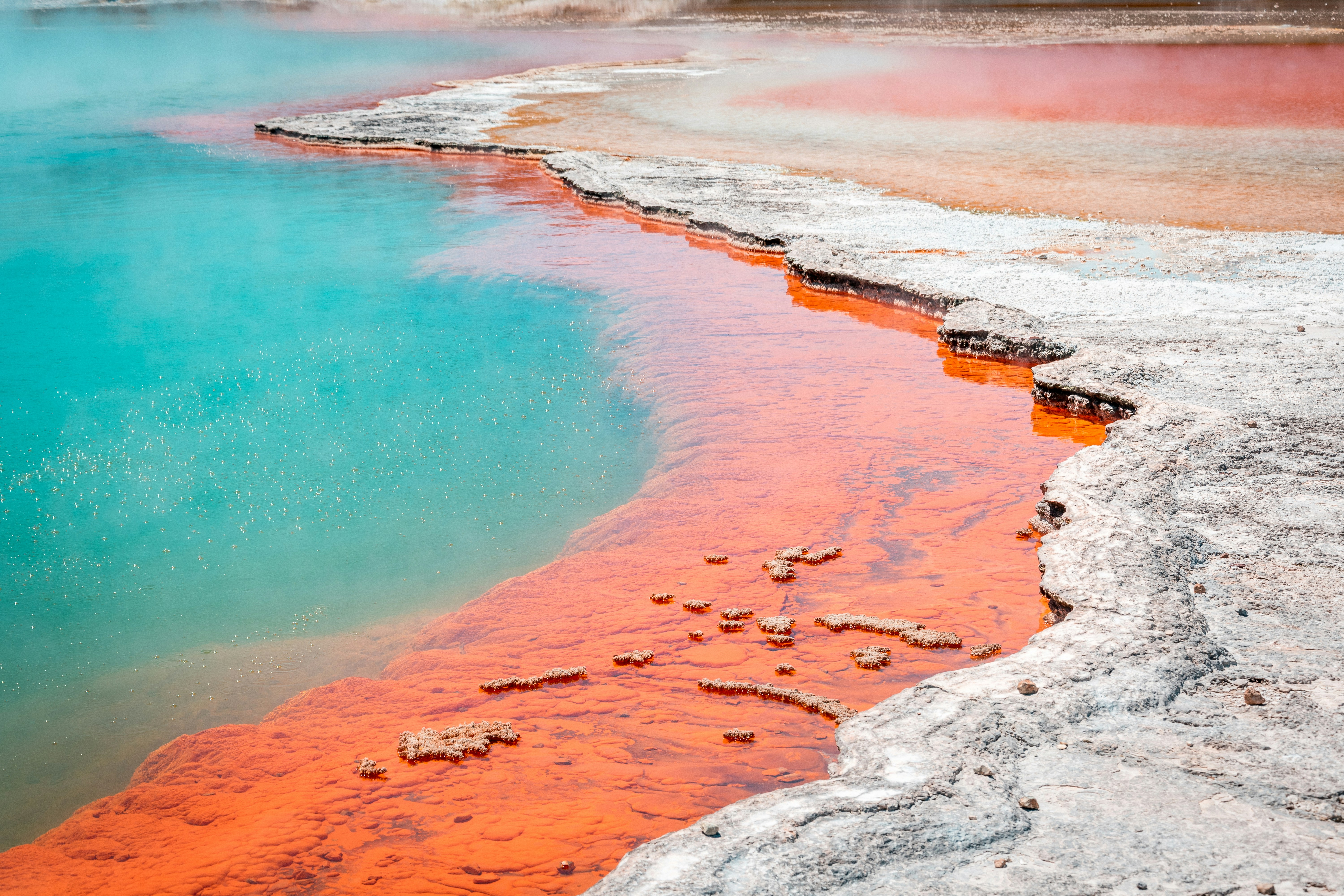 Geothermal valleys and geysers of Rotorua