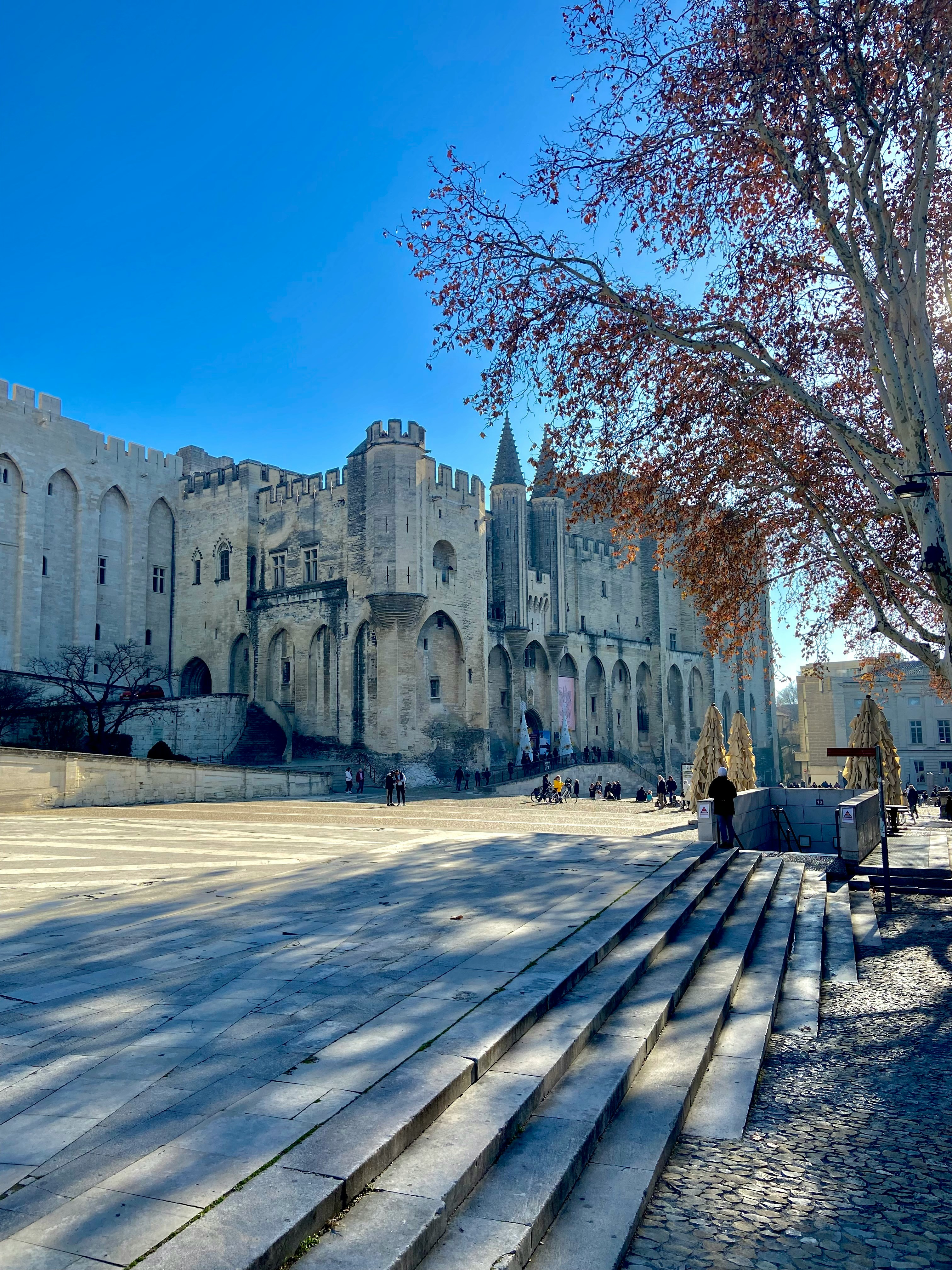 Historic Avignon beside the Rhône
