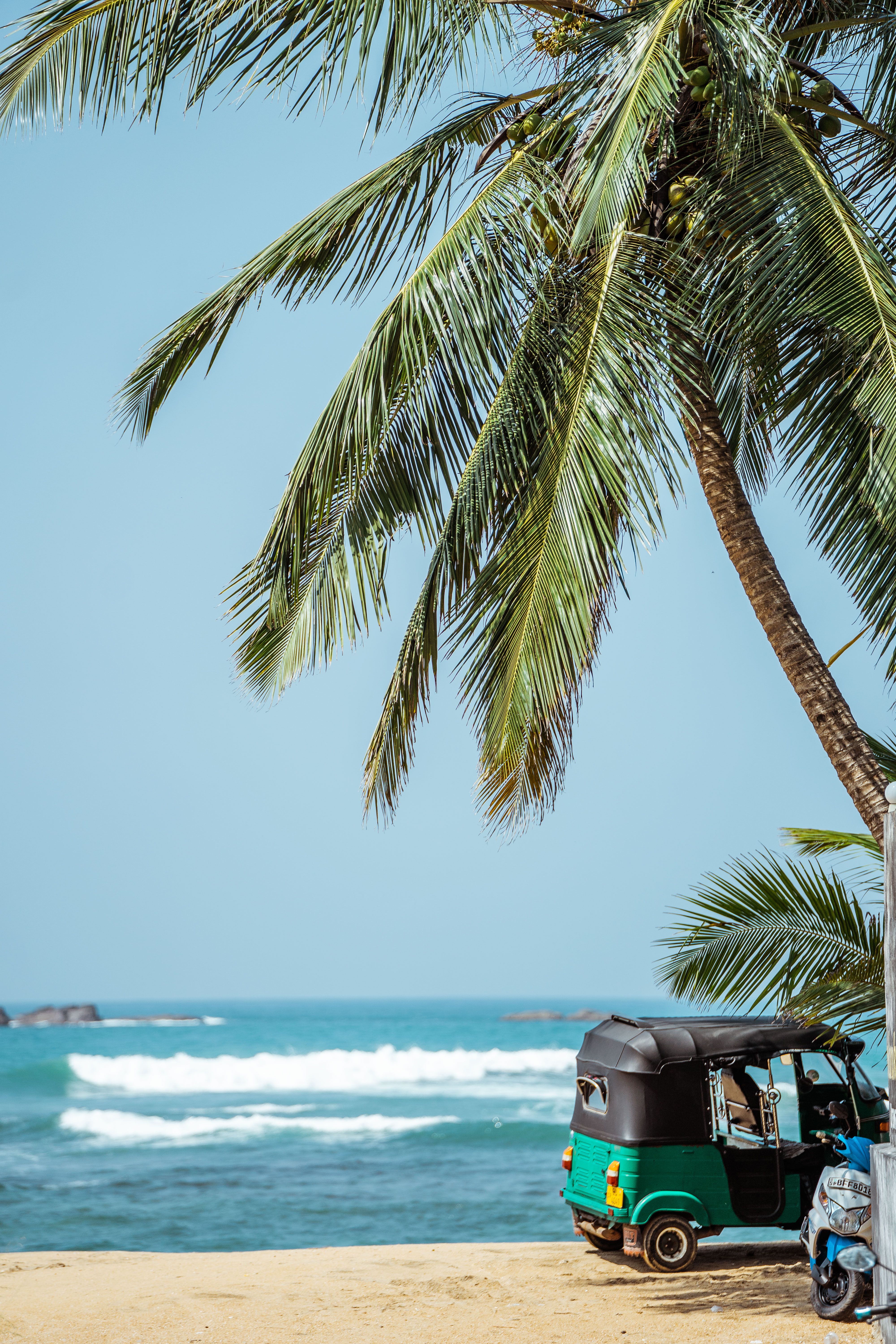 Tuk-tuk on a palm-fringed beach in Bentota