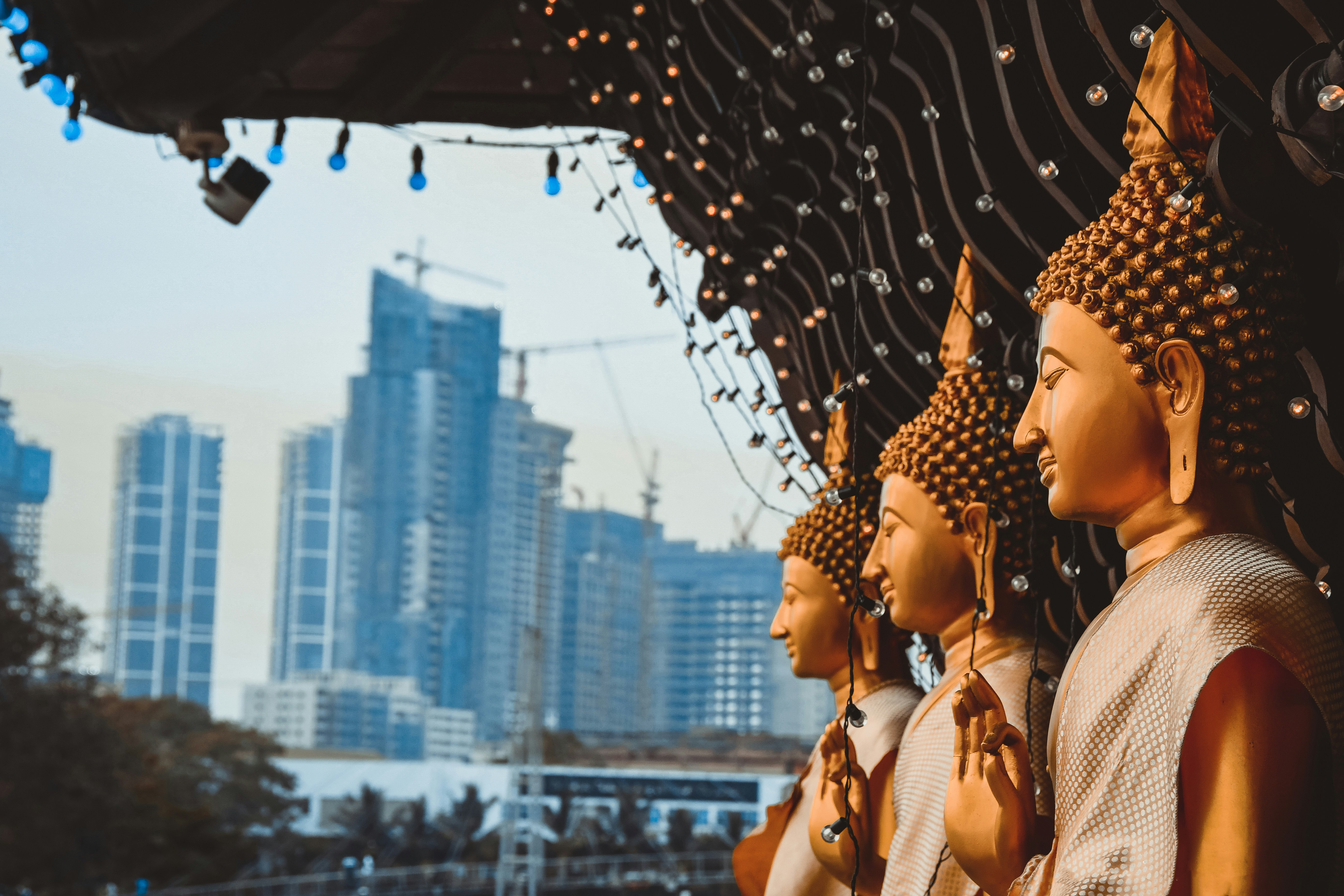 Buddha statues overlooking Colombo’s skyline