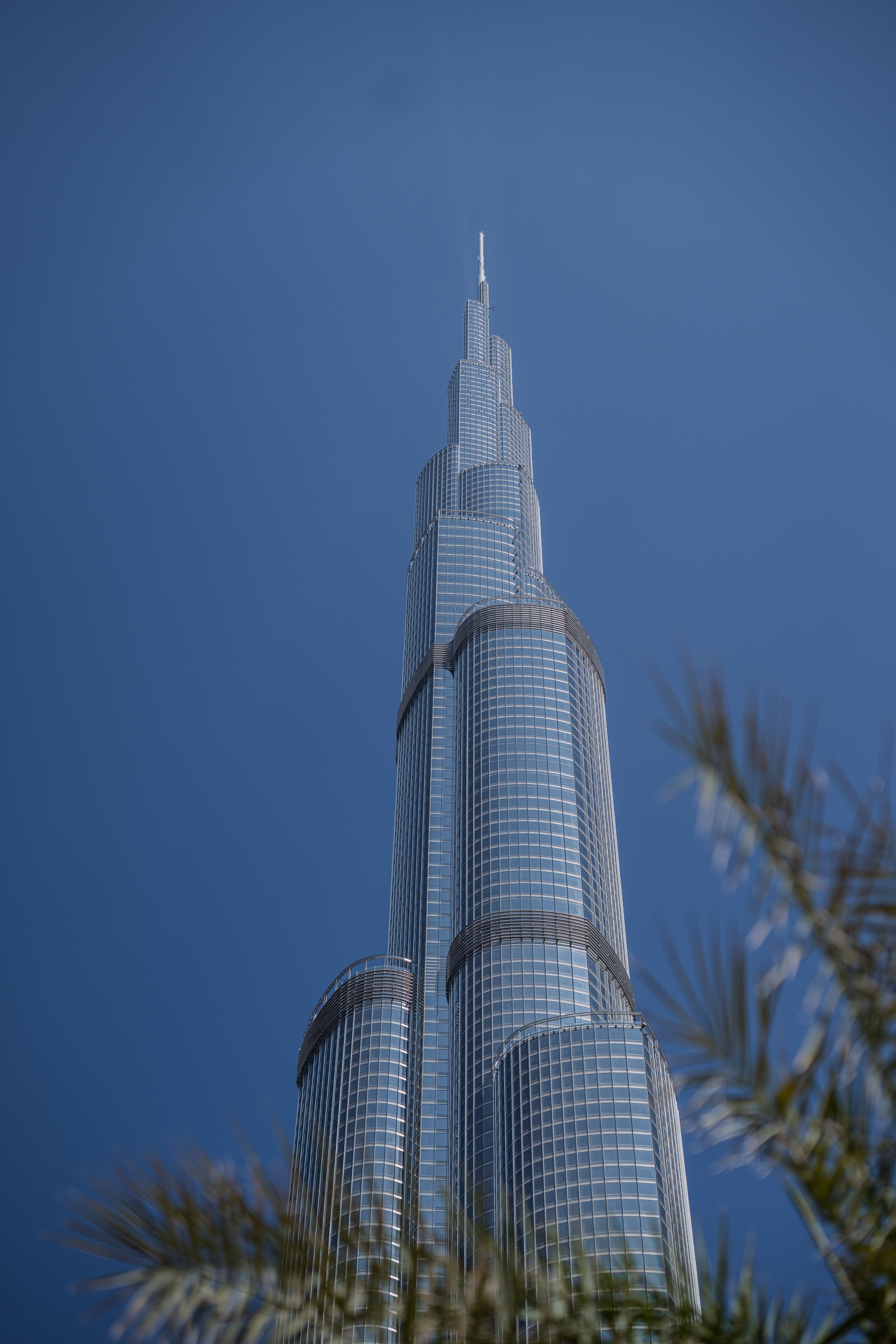 Burj Khalifa at night with palm trees