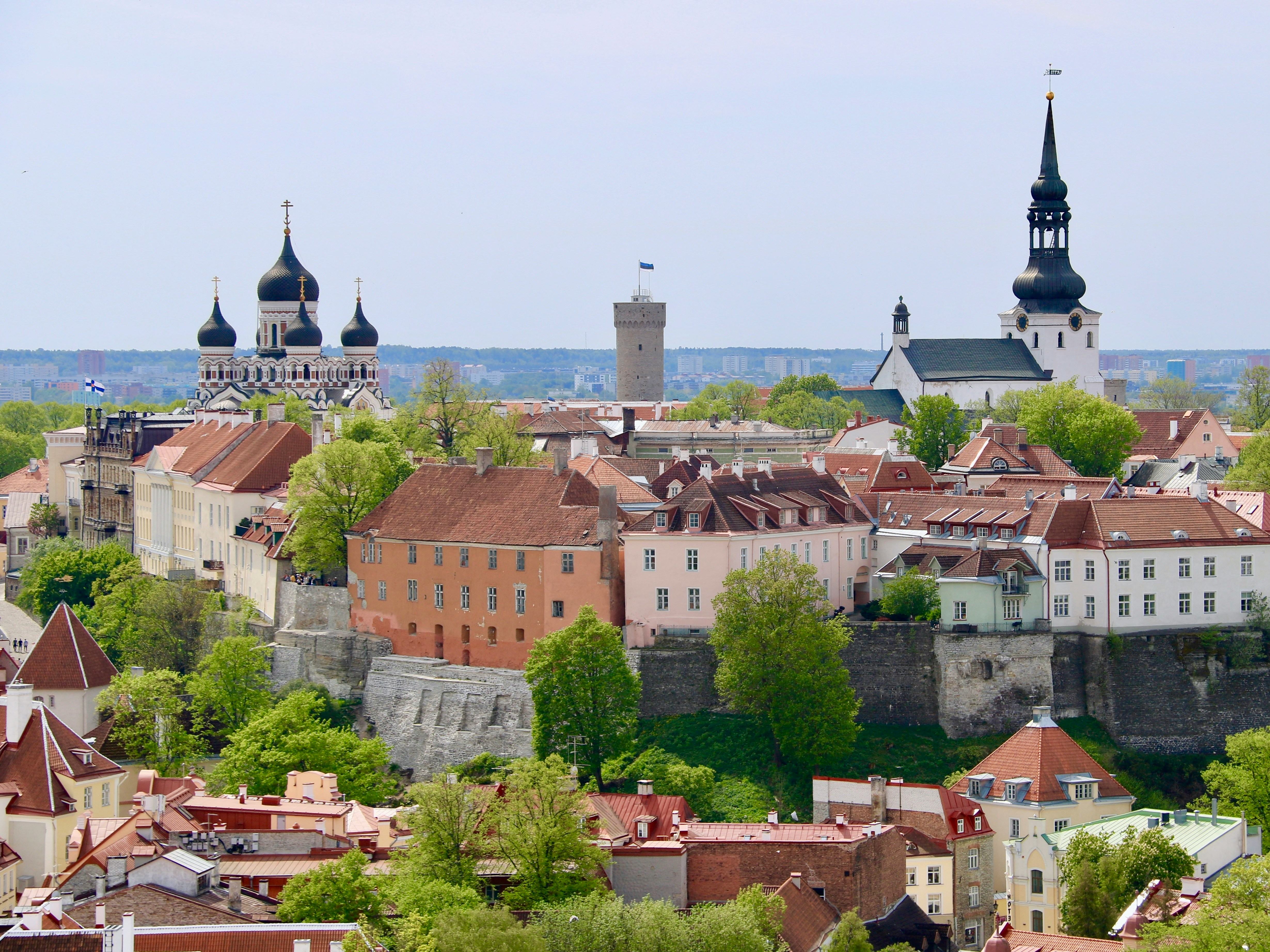Tallinn’s red-roofed Old Town and church spires viewed from above