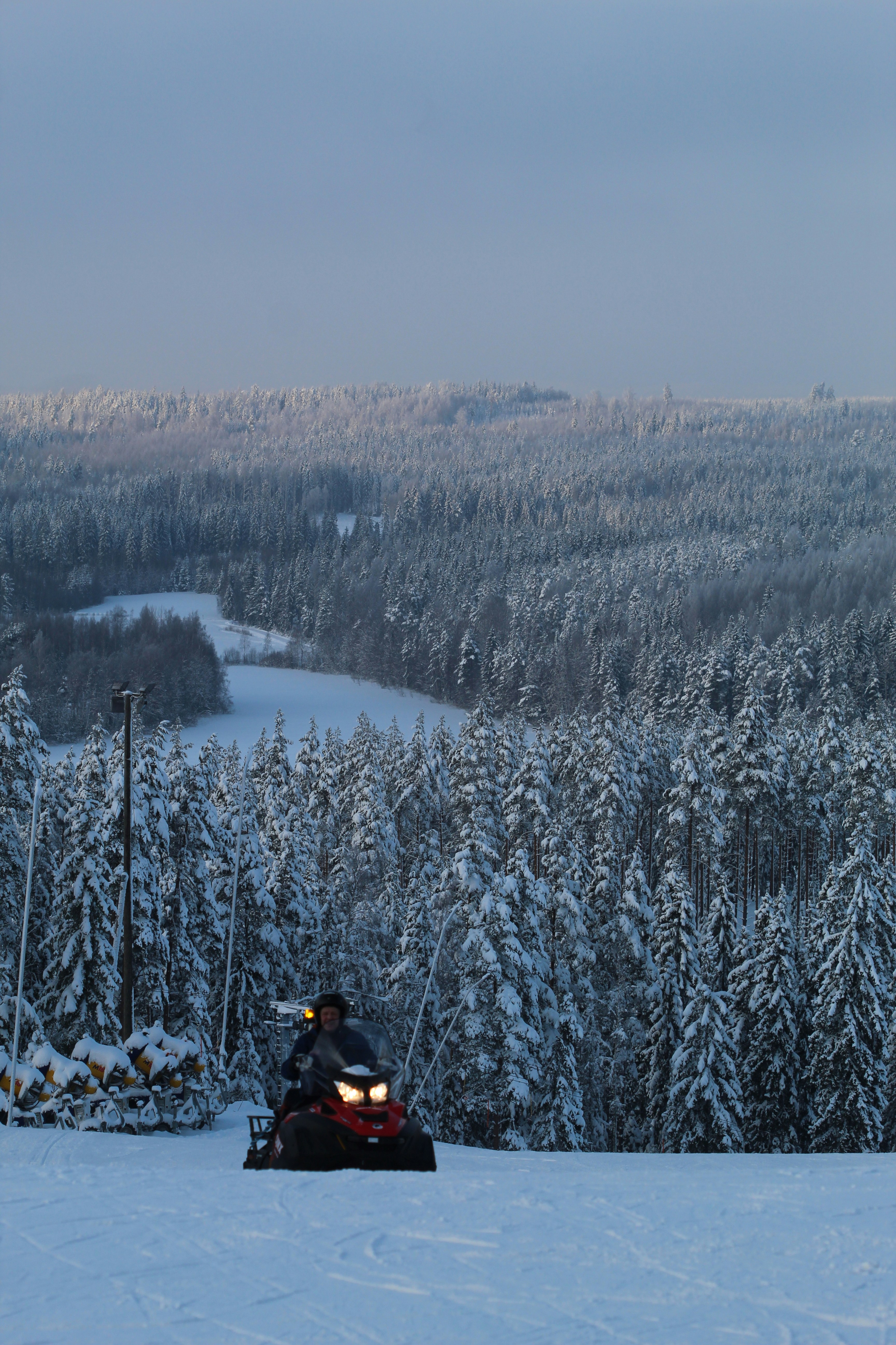 A snowmobile travels along a snowy forest trail
