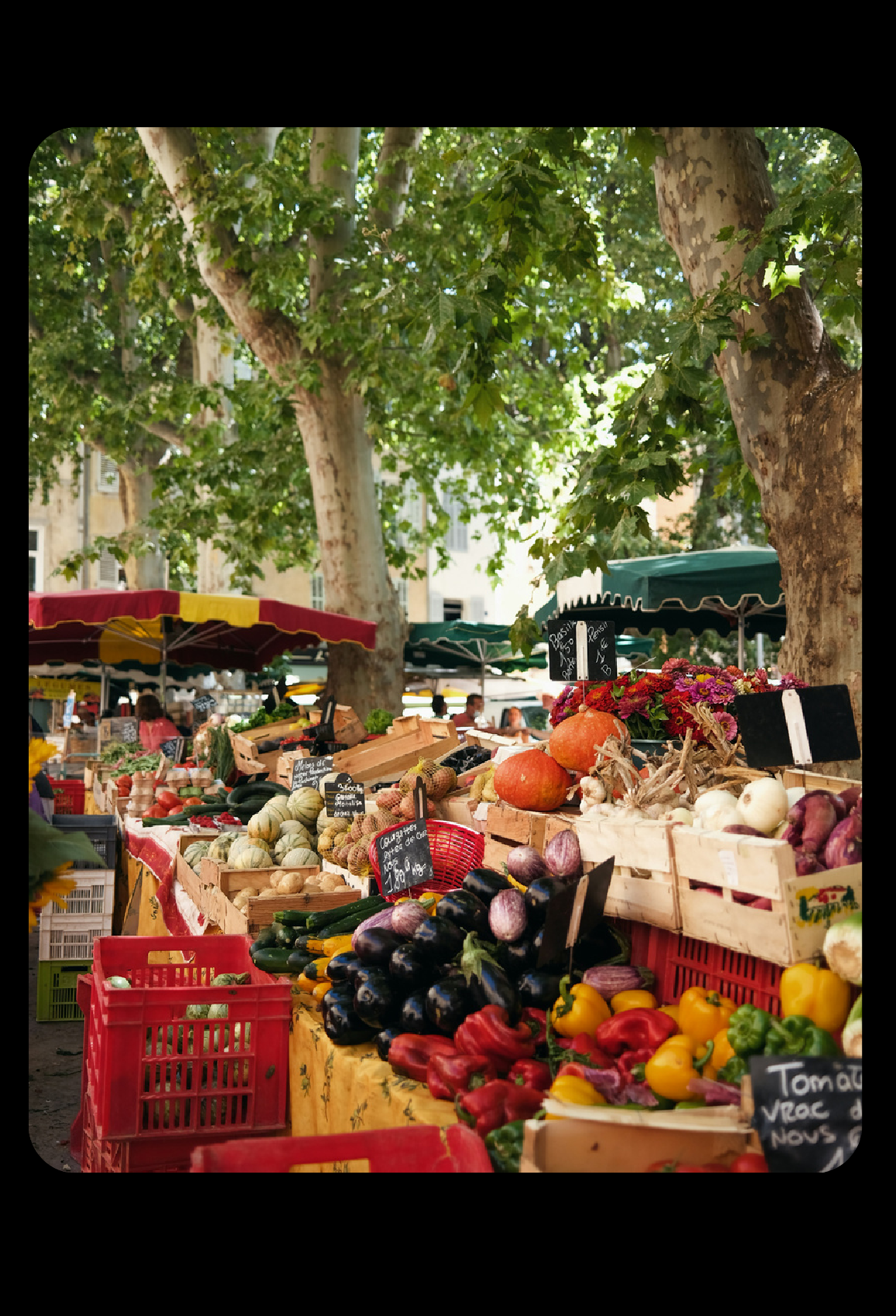 Aix-en-Provence and the surrounding landscape