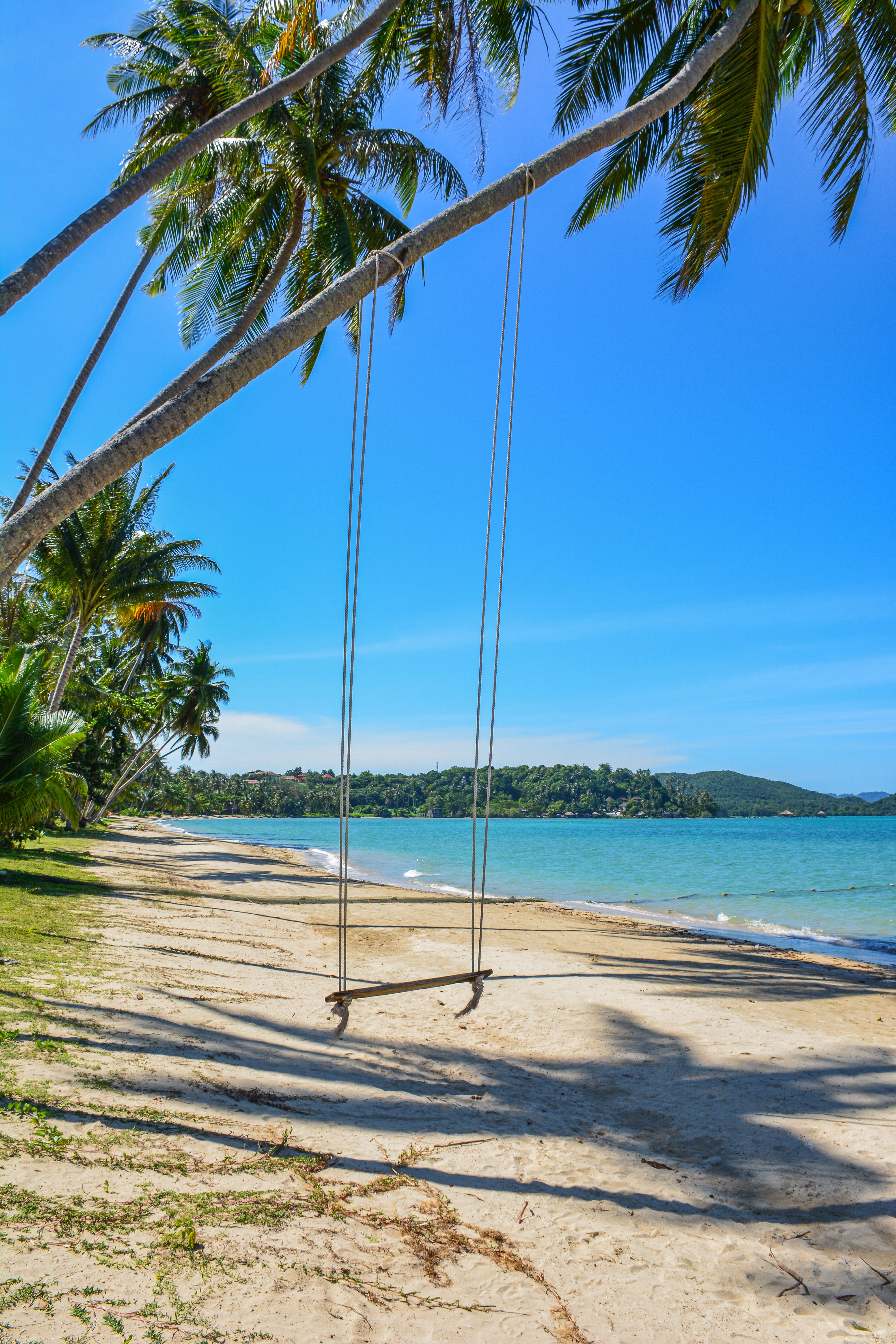 A wooden swing hangs beneath palm trees above a sandy beach and turquoise water.