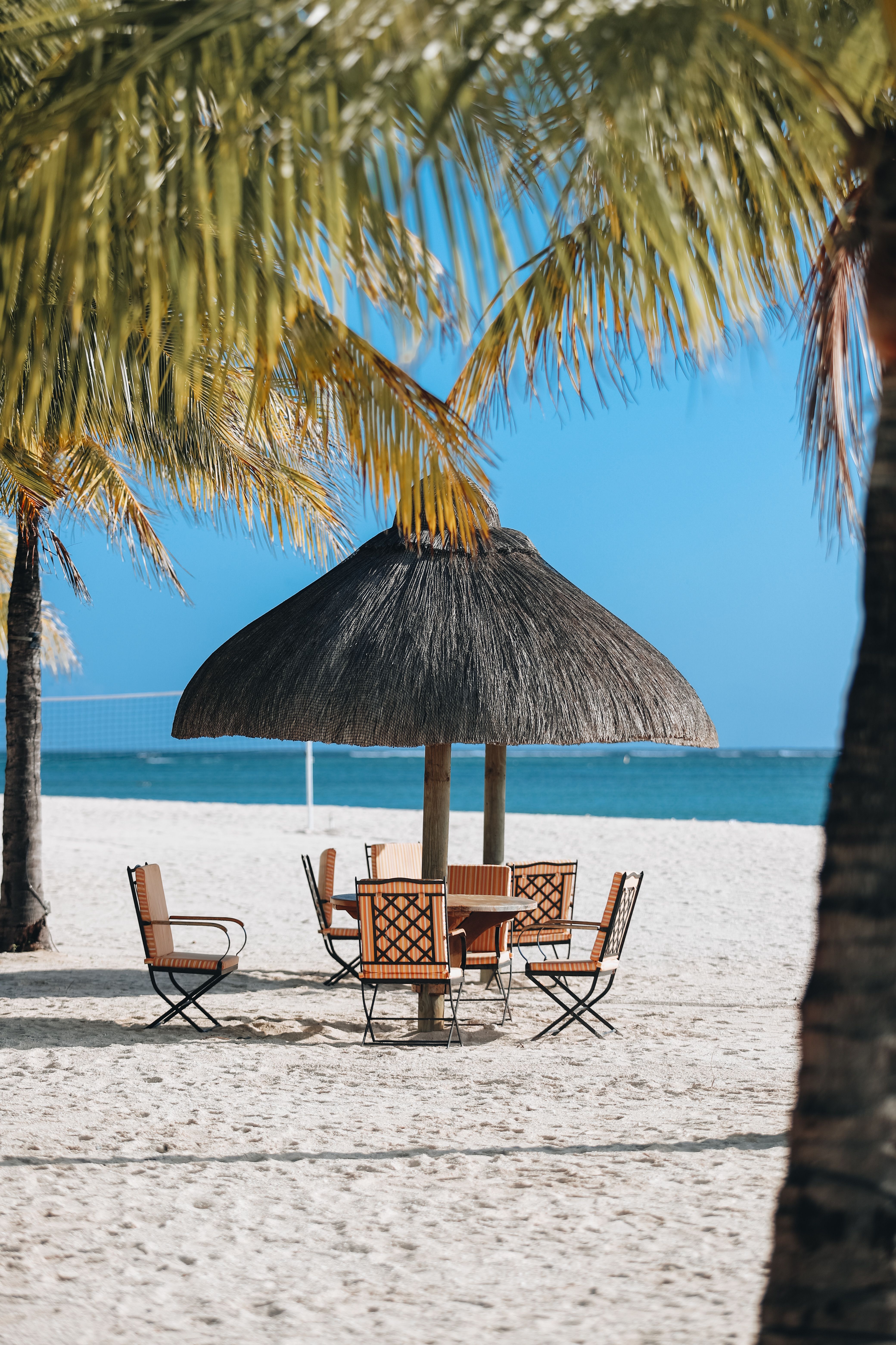 Shaded beach seating beneath palms on a white-sand coast