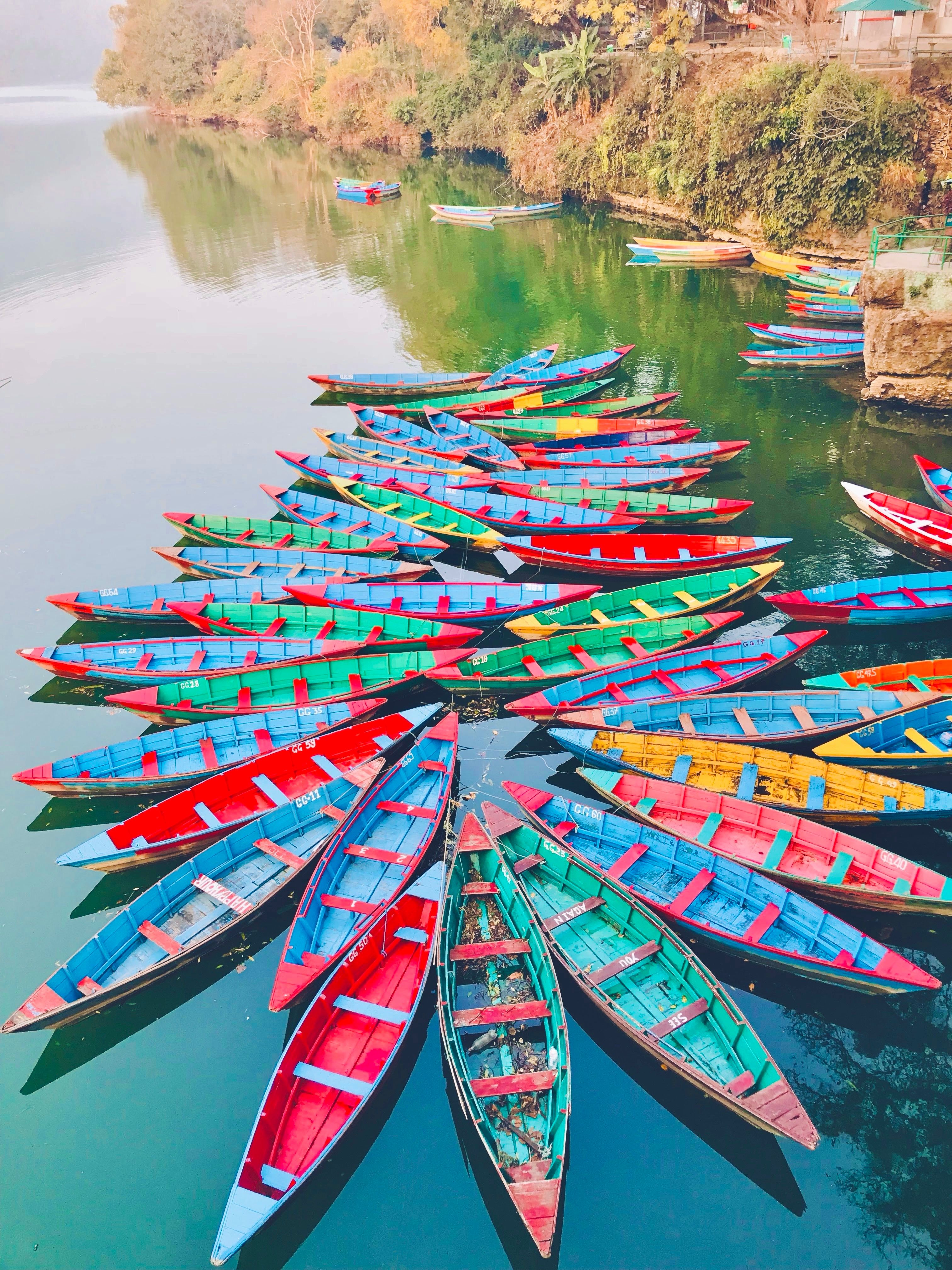Rows of brightly coloured boats on a lake in Pokhara