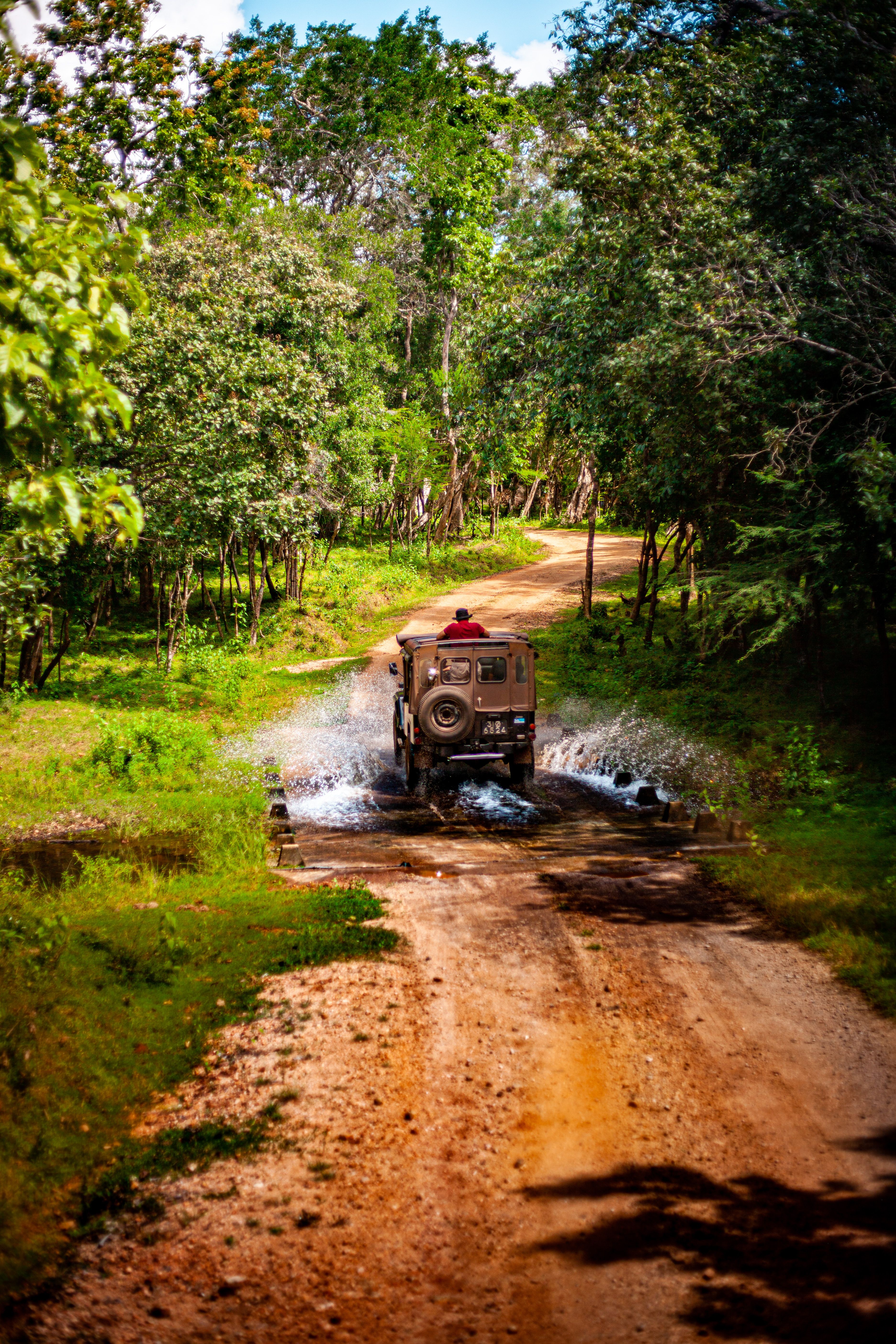 Safari jeep on a shaded dirt track through a forest