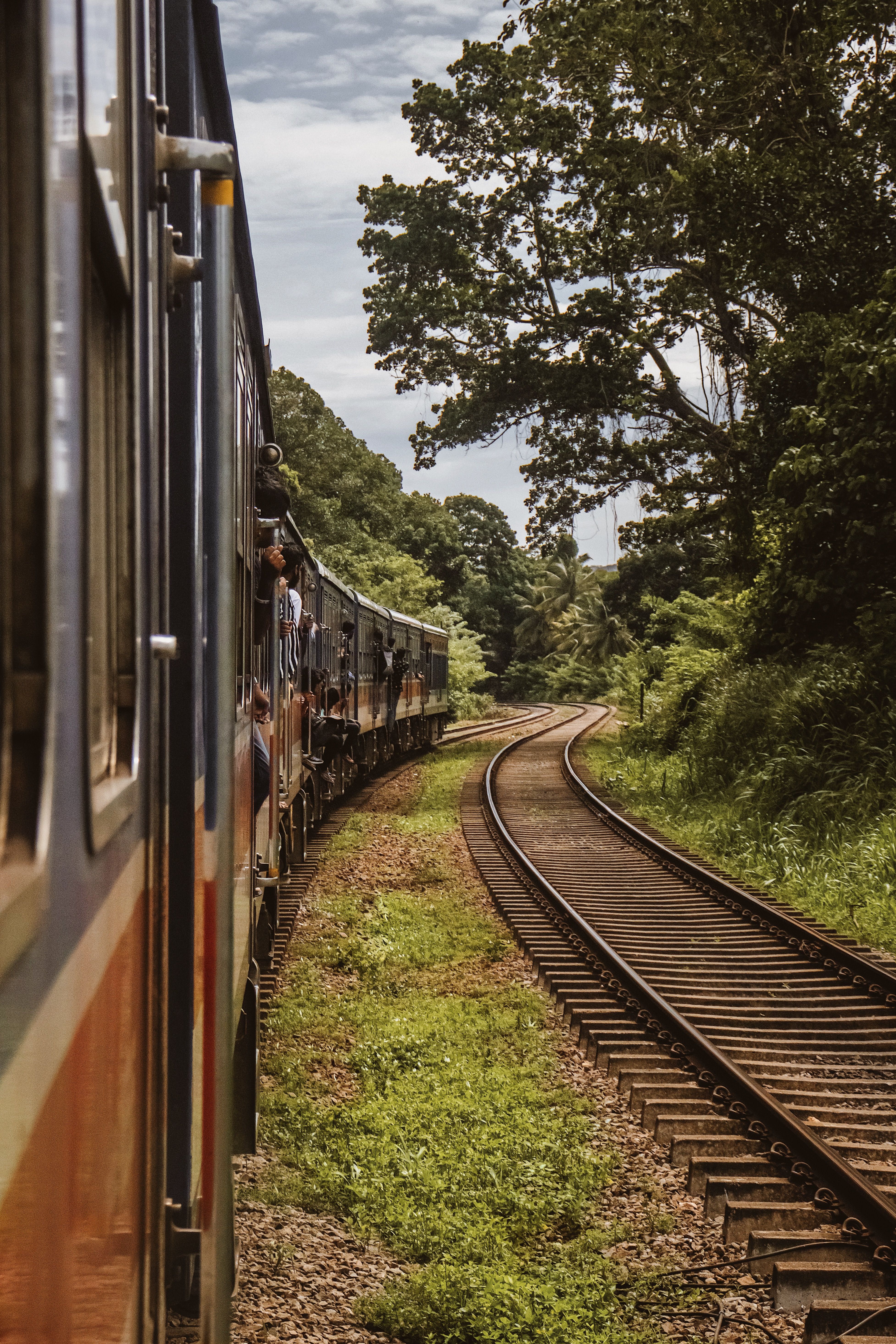 Passenger train rounding a bend on a tree-lined railway
