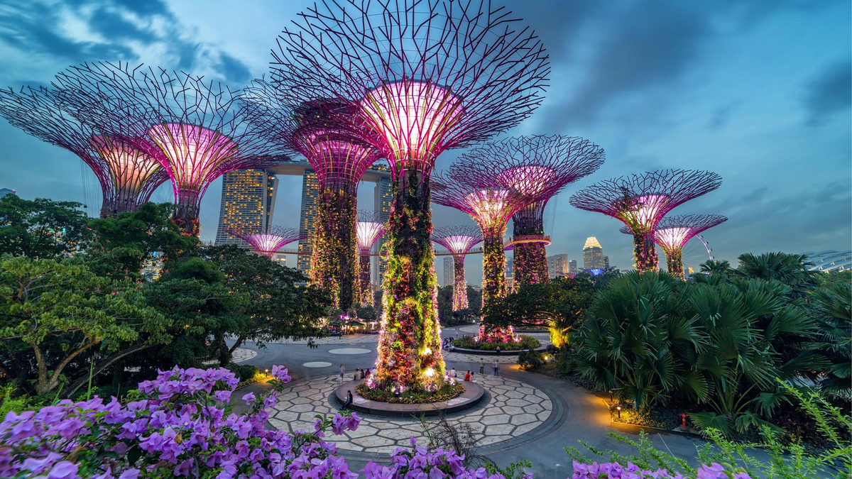 Gardens by the Bay and Marina Bay skyline