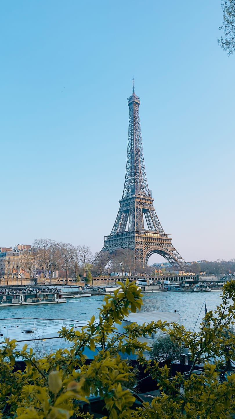 The Eiffel Tower viewed above trees and Paris rooftops